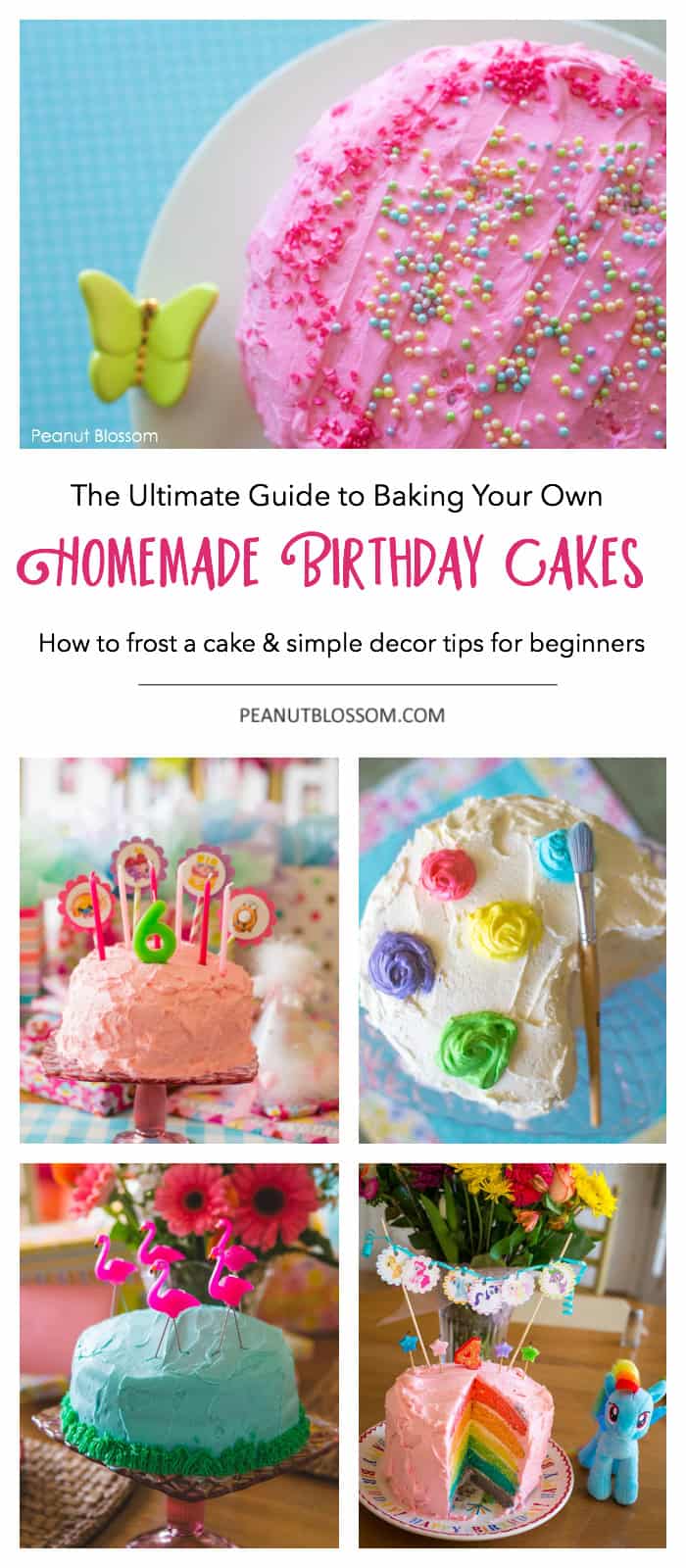 Beginner Cake Decorating Ideas Shelly Lighting