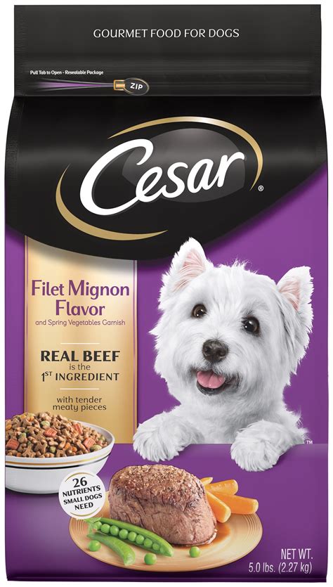 Cesar Dog Food Dry Walmart