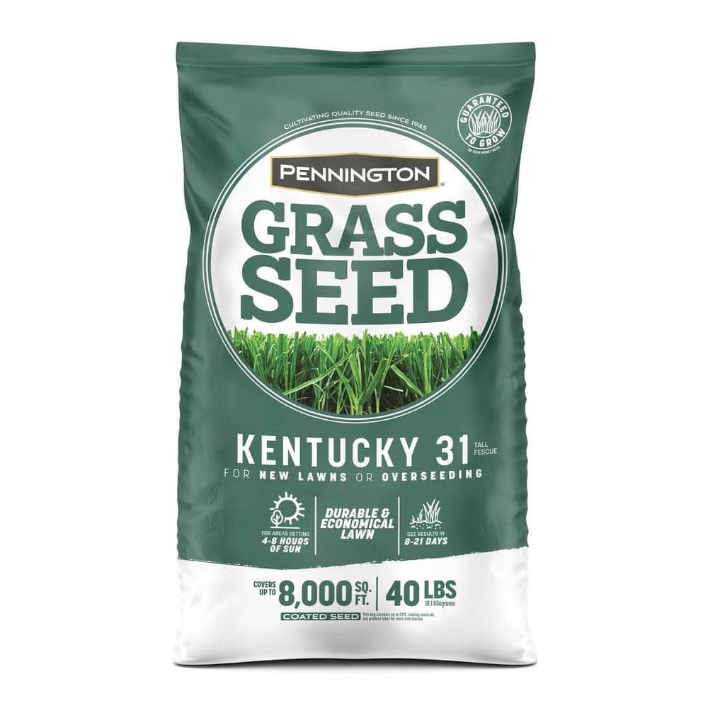 Expert Gardener Grass Seed Kentucky 31 Tall Fescue 3 Pounds Walmart Com