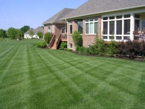 How To Create The Perfect Lawn Lawn Pride